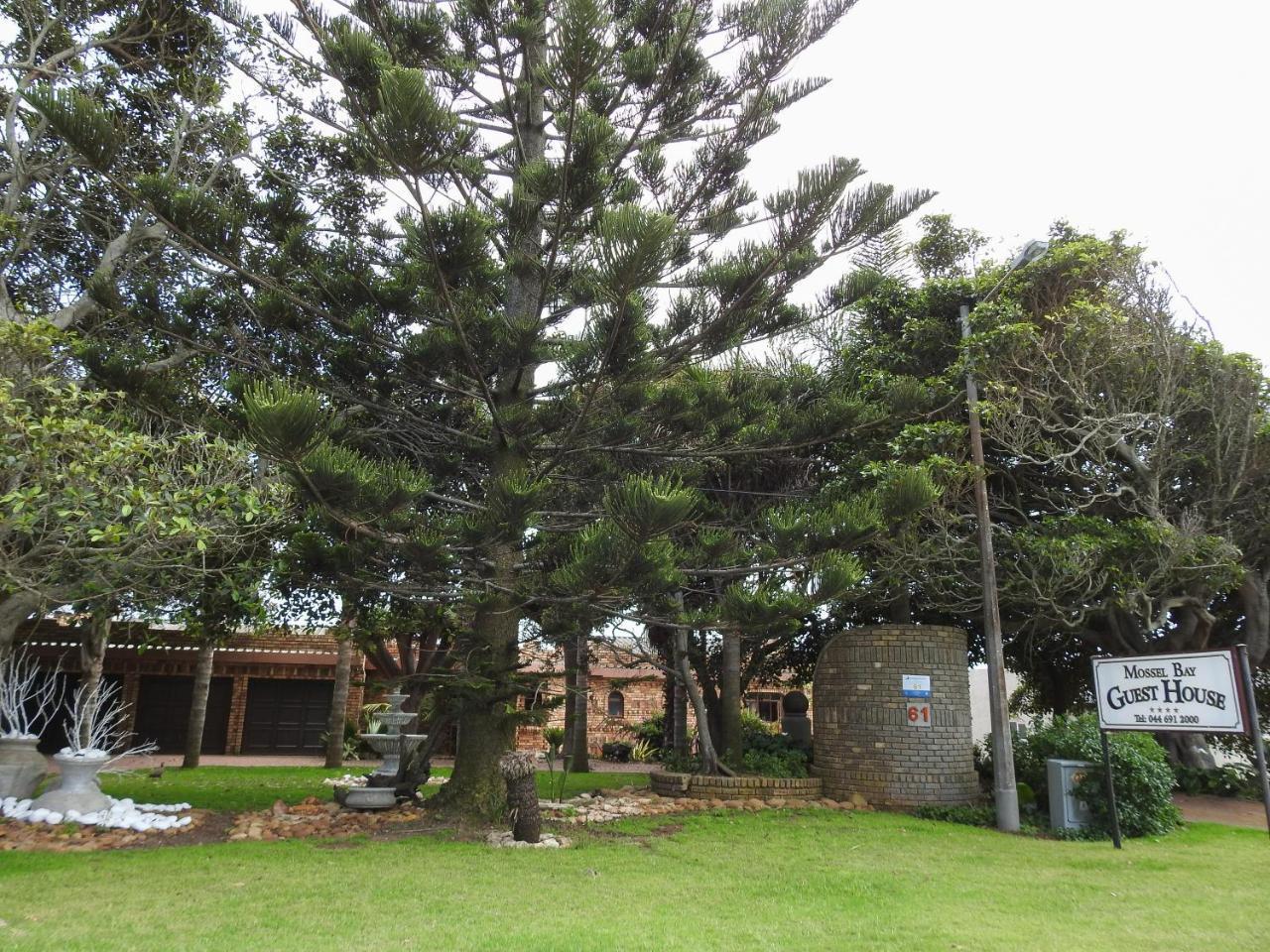 Mossel Bay Guest House ภายนอก รูปภาพ